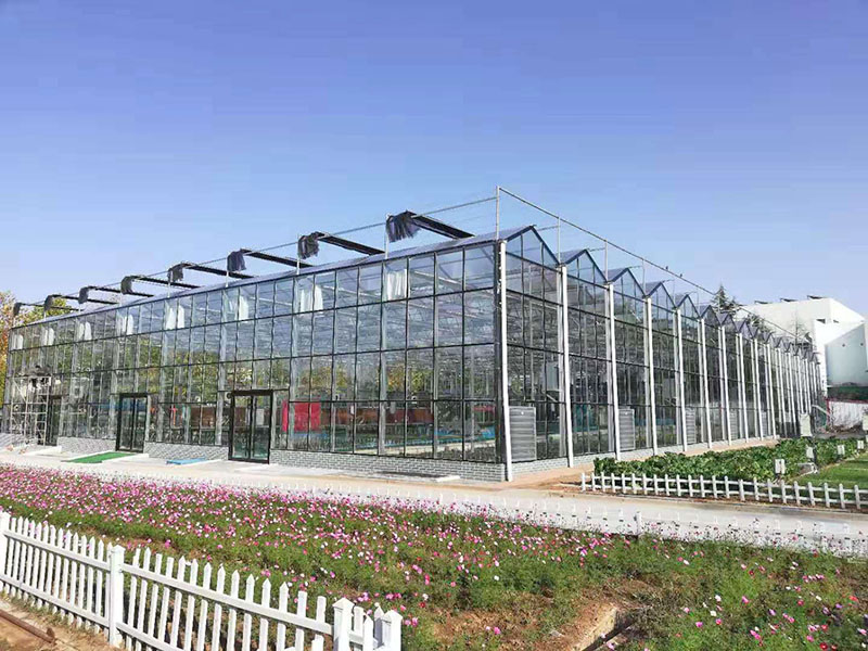 溫室大棚如何提高化肥利用效率？